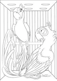 Fisă de colorat cu Rio de colorat p12