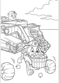 Patrula Cățelușilor de colorat p1