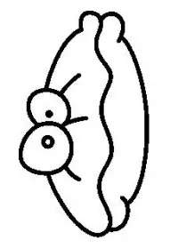 Fisă de colorat cu Scoici de colorat p04