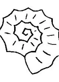 Fisă de colorat cu Scoici de colorat p09