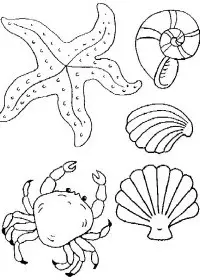 Fisă de colorat cu Scoici de colorat p14