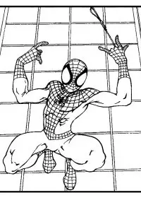 Fisă de colorat cu Spiderman de colorat p03