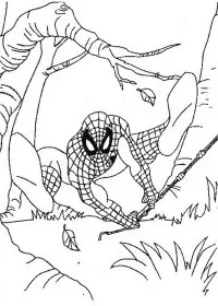 Fisă de colorat cu Spiderman de colorat p39