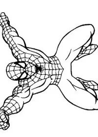 Fisă de colorat cu Spiderman de colorat p40