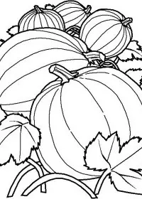 Fisă de colorat cu Toamna de colorat p05