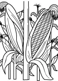 Fisă de colorat cu Toamna de colorat p110