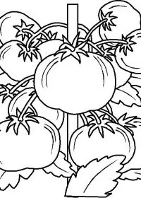 Fisă de colorat cu Toamna de colorat p114