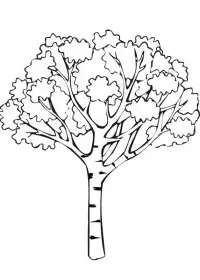 Fisă de colorat cu Toamna de colorat p28