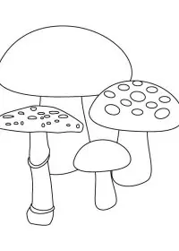 Fisă de colorat cu Toamna de colorat p34