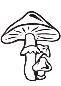 Fisă de colorat cu Toamna de colorat p35