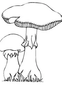 Fisă de colorat cu Toamna de colorat p52