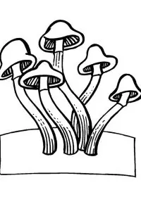 Fisă de colorat cu Toamna de colorat p59