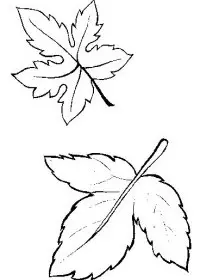 Fisă de colorat cu Toamna de colorat p65