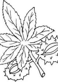 Fisă de colorat cu Toamna de colorat p69