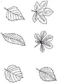 Fisă de colorat cu Toamna de colorat p70