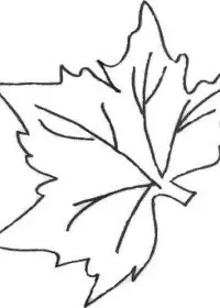 Fisă de colorat cu Toamna de colorat p71