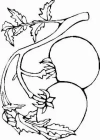 Fisă de colorat cu Toamna de colorat p93