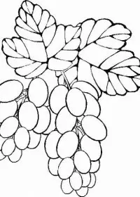 Fisă de colorat cu Toamna de colorat p94