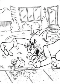 Fisă de colorat cu Tom si jerry de colorat p38