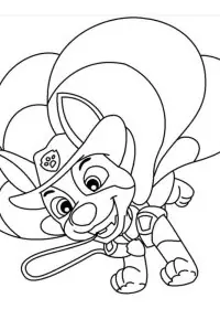 Patrula Cățelușilor de colorat p81