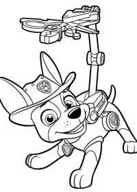 Patrula Cățelușilor de colorat p87