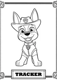Patrula Cățelușilor de colorat p80