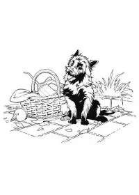 Fisă de colorat cu Vrajitorul din oz de colorat p10