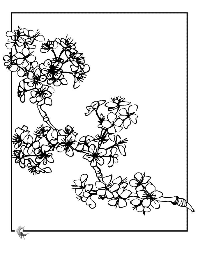 Fisă de colorat cu Toamna de colorat p07