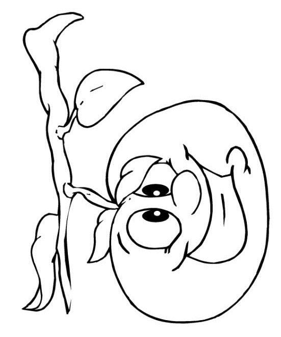 Fisă de colorat cu Toamna de colorat p15