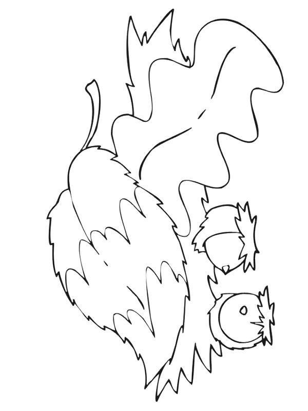 Fisă de colorat cu Toamna de colorat p30