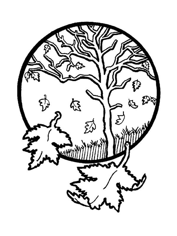 Fisă de colorat cu Toamna de colorat p36