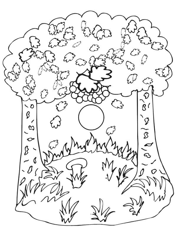 Fisă de colorat cu Toamna de colorat p40