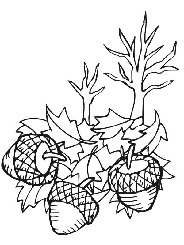 Fisă de colorat cu Toamna de colorat p43