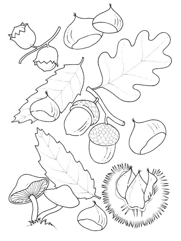 Fisă de colorat cu Toamna de colorat p46