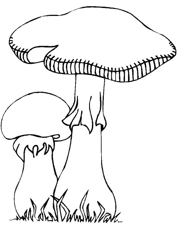Fisă de colorat cu Toamna de colorat p52