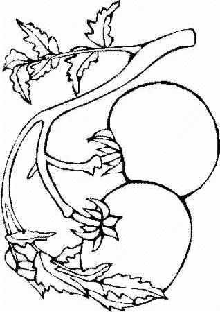 Fisă de colorat cu Toamna de colorat p93