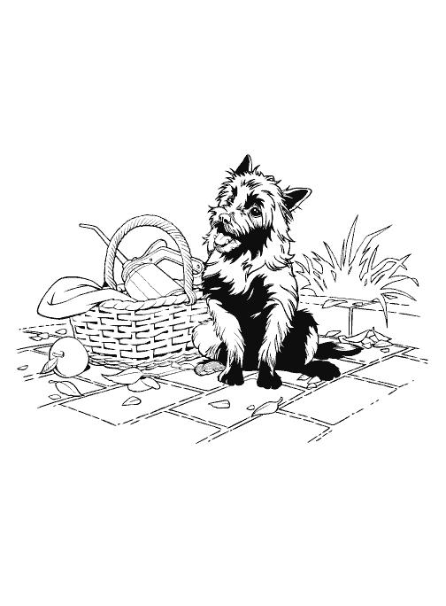 Fisă de colorat cu Vrajitorul din oz de colorat p10